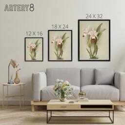 "Artery8 F Sander Cattleya ballantiniana Orchid Flowers Framed Canvas Art Print in White - Size: W12"" x H16""" - thumbnail 4