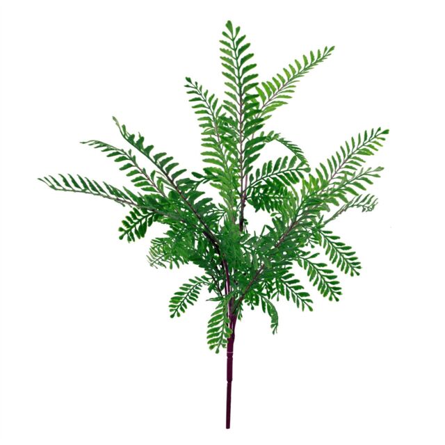 Leaf 55cm Himilayan Maidenhair Fern Bush Dark Green Plant - image 1