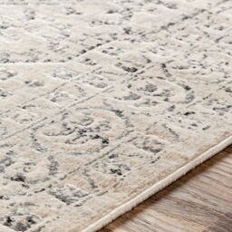 Livabliss City-Vintage Grey Beige Traditional Boho Living Dining Bedroom Rug - Size: 160 cm x 220 cm - thumbnail 3