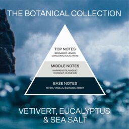 French Connection Botanical Collection - Vetivert, Eucalyptus & Sea Salt 660G (1-Wick) - FCC008VS - thumbnail 6