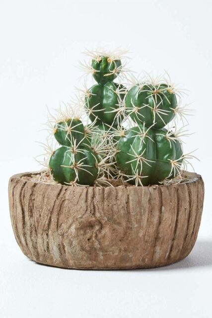 Homescapes Echinocactus Artificial Cactus in Round Wooden Planter, 15 cm Tall in Green - image 1
