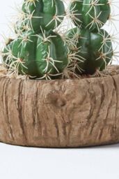 Homescapes Echinocactus Artificial Cactus in Round Wooden Planter, 15 cm Tall in Green - thumbnail 4