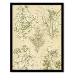 Artery8 Leaves From Nature No 7 Botanical Jones Vintage Framed Wall Art Print in Beige - Size: A4 - thumbnail 1