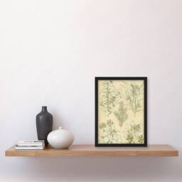 Artery8 Leaves From Nature No 7 Botanical Jones Vintage Framed Wall Art Print in Beige - Size: A4 - thumbnail 4
