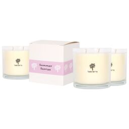 Nicola Spring 3x 400g Soy Wax Scented Candles - Summer Berries Aromatherapy Jar Candle in Clear - thumbnail 1
