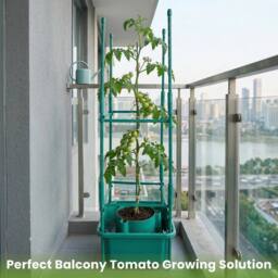 EONLION 12PCS Garden Tomato Halos Plant Pot With Supports Square Pot in Green - Size: 100g - thumbnail 5