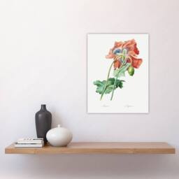 "Artery8 Poppy Flower Botanical Redoute Vintage Wall Art Print Poster in White - Size: W12"" x H16""" - thumbnail 4