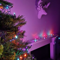 Samuel Alexander 10m Battery Operated Multi-Action Christmas String Lights with 100 Rainbow LEDs - thumbnail 3