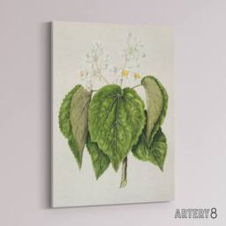 "Artery8 New Zealand Whau Cork Tree Flowers Featon Canvas Wall Art Print in Beige - Size: W18"" x H24""" - thumbnail 2