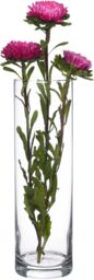 simpa Botanica Clear Glass Cylindrical Vase - Set of 2 - thumbnail 4