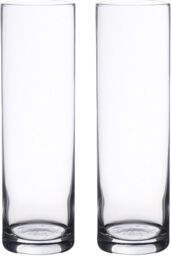simpa Botanica Clear Glass Cylindrical Vase - Set of 2 - thumbnail 1