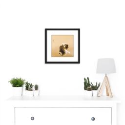 Artery8 Seiho Madaraneko Tabby Cat Japan Painting Painting 8X8 Inch Square Wooden Framed Wall Art Print Picture with Mount in Black - thumbnail 2