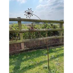 Poppyforge 3D Allium Garden Art - Bare Metal/Ready to Rust - W37 x H133 cm in Brown - thumbnail 2