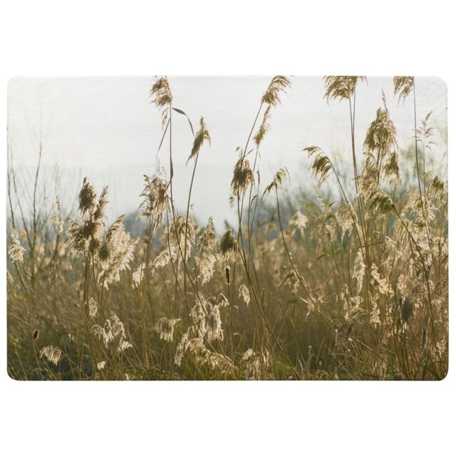 Benjamin Tate Design Plumes Slimbridge Designer Rug in Natural - Size: Large - image 1