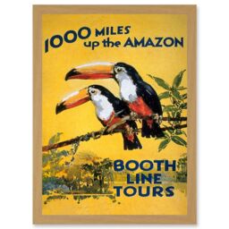 Artery8 Amazon Toucan River Brazil South America Jungle Rain Forest Vintage Travel Advert Artwork Framed Wall Art Print A4 in Light Oak - thumbnail 1