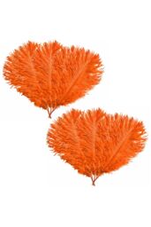 Neel Blue 5pcs Ostrich Feathers, Natural Plume, 35cm - 40cm in Orange - thumbnail 5