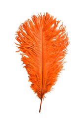 Neel Blue 5pcs Ostrich Feathers, Natural Plume, 35cm - 40cm in Orange - thumbnail 3