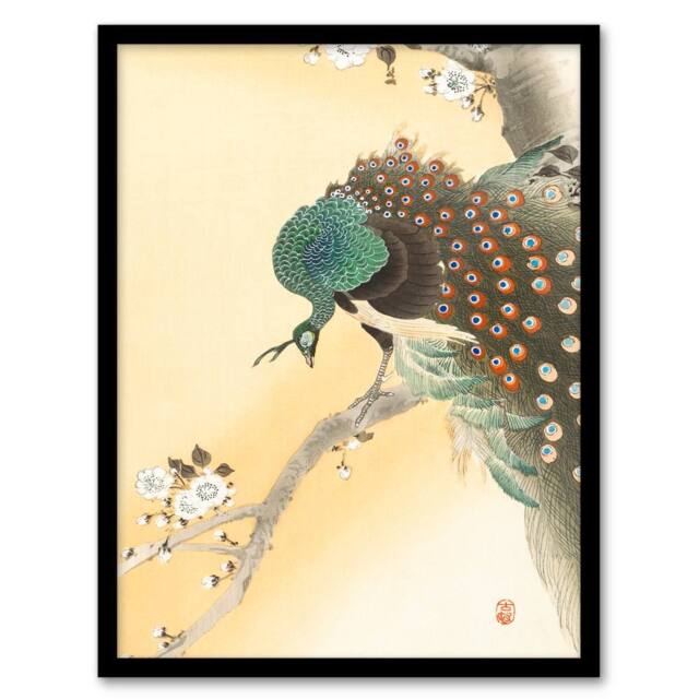 Artery8 Ohara Koson Framed Wall Art Print Peacock On A Cherry Blossom Tree in Orange - Size: A4 - image 1