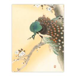 Artery8 Ohara Koson Framed Wall Art Print Peacock On A Cherry Blossom Tree in Orange - Size: A4 - thumbnail 3