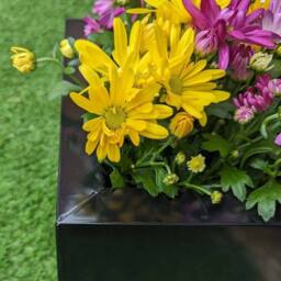 Access Garden Products 50cm Zinc Galvanised Polished Black Square Planter - thumbnail 4