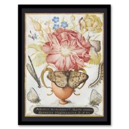 Artery8 Flowers Snail Insects & Butterflies Hoefnagel Framed Wall Art Print - Size: A4 - thumbnail 1