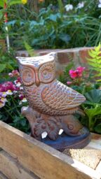 Inspirational Gifting Small Owl on Oak Branch Figurine Sculpture Ornament in Bronze - thumbnail 5