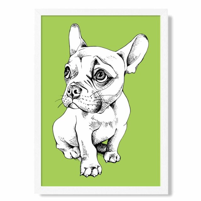 ARTZE Sketch French Bulldog on Bright Green Framed Print SIZE: A3 with White Frame - Size: A4 - image 1