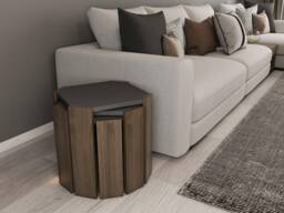 Decorotika Lori 3-Pieces Nesting Table Coffee Table Cocktail Table Set in Brown