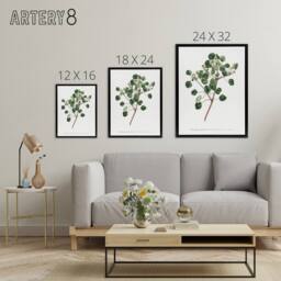 "Artery8 Francis Sansom Manchineel Berry Flowering Plant Framed Canvas Art in White - Size: W12"" x H16""" - thumbnail 4