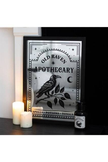 KDMD Old Raven Apothecary Mirrored Wall Art in Silver - image 1