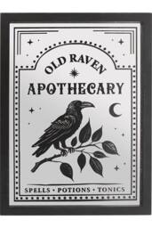 KDMD Old Raven Apothecary Mirrored Wall Art in Silver - thumbnail 2