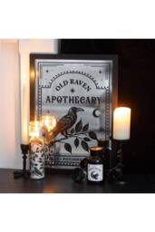 KDMD Old Raven Apothecary Mirrored Wall Art in Silver - thumbnail 5