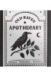 KDMD Old Raven Apothecary Mirrored Wall Art in Silver - thumbnail 3