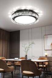Round Acrylic Flush Mount LED Ceiling in Black - thumbnail 2