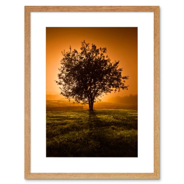 "Artery8 Wall Art Print Lone Tree Sunset Photo Art Black Framed 9x7 inch in Beige - Size: W7"" x H9""" - image 1