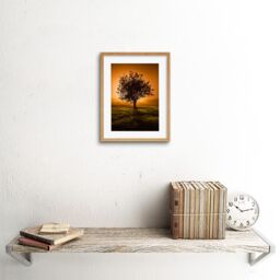 "Artery8 Wall Art Print Lone Tree Sunset Photo Art Black Framed 9x7 inch in Beige - Size: W7"" x H9""" - thumbnail 2