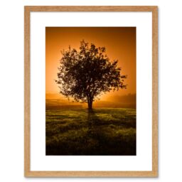 "Artery8 Wall Art Print Lone Tree Sunset Photo Art Black Framed 9x7 inch in Beige - Size: W7"" x H9""" - thumbnail 1