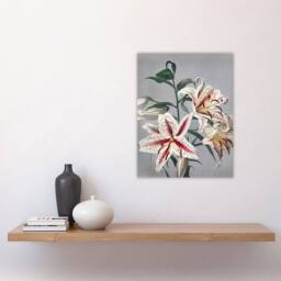 "Artery8 White Pink Spotted Lily Flowers Vintage Wall Art Print Kazumasa - Size: W12"" x H16""" - thumbnail 4
