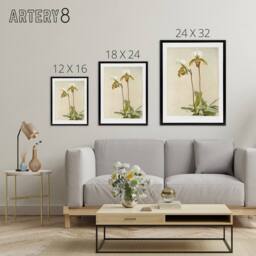 "Artery8 F Sander Cypripedium Leeanum Var Giganteum Orchid Framed Canvas Art - Size: W12"" x H16""" - thumbnail 4