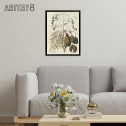 "Artery8 Vintage Bird & Plant Illustration Catesby Black Framed Canvas Art in Beige - Size: W12"" x H16""" - thumbnail 3