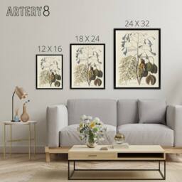 "Artery8 Vintage Bird & Plant Illustration Catesby Black Framed Canvas Art in Beige - Size: W12"" x H16""" - thumbnail 4