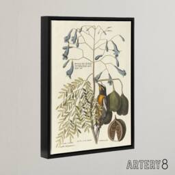 "Artery8 Vintage Bird & Plant Illustration Catesby Black Framed Canvas Art in Beige - Size: W12"" x H16""" - thumbnail 2