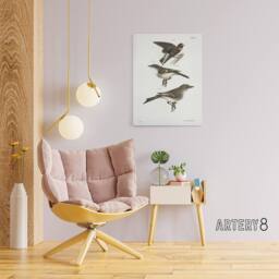 "Artery8 James De Kay Cliff Swallow Flycatcher & Sayornis Canvas Art Print in White - Size: W12"" x H16""" - thumbnail 3