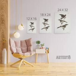 "Artery8 James De Kay Cliff Swallow Flycatcher & Sayornis Canvas Art Print in White - Size: W12"" x H16""" - thumbnail 4