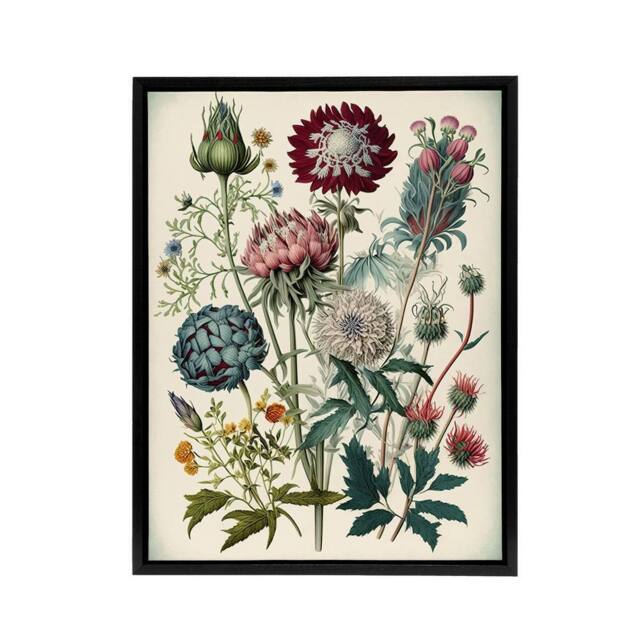 "Artery8 Vintage Ernst Haeckel Inspired Flowers Framed Canvas Wall Art Print - Size: W12"" x H16""" - image 1