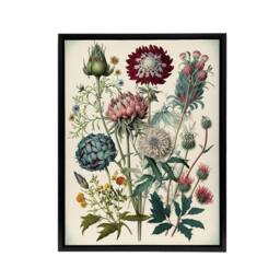 "Artery8 Vintage Ernst Haeckel Inspired Flowers Framed Canvas Wall Art Print - Size: W12"" x H16""" - thumbnail 1