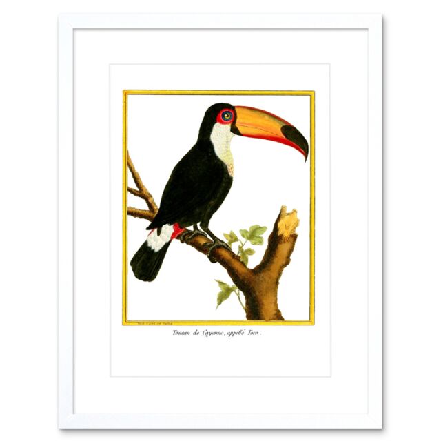 "Artery8 Wall Art Print Bird Black Toucan Art Framed 9x7 inch in White - Size: W7"" x H9""" - image 1