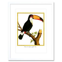"Artery8 Wall Art Print Bird Black Toucan Art Framed 9x7 inch in White - Size: W7"" x H9""" - thumbnail 1