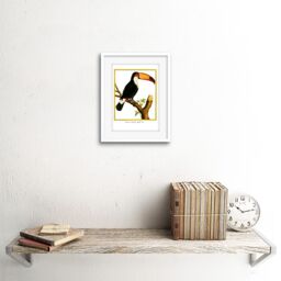 "Artery8 Wall Art Print Bird Black Toucan Art Framed 9x7 inch in White - Size: W7"" x H9""" - thumbnail 2