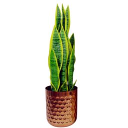 Leaf Honeycomb Planter Copper 18cm x 15.5cm - Size: 18 cm x 15.5 cm - thumbnail 3